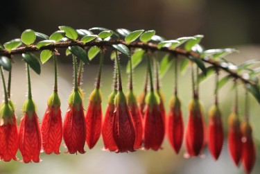 中山石岐2私人快速借钱网，轻松解决资金难题