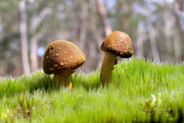 中山石岐2私人老板放款：轻松融资的秘密通道